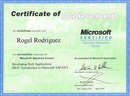 developing web applications